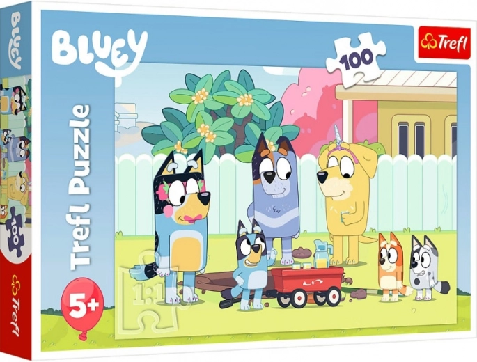 Iecienītie BLUEY varoņi