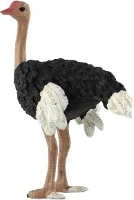 Dekoratīvs elements