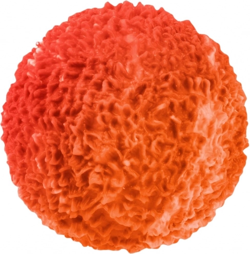 Kompakts izmērs plaukstai