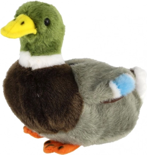 Savvaļas pīles realistiskais krāsojums