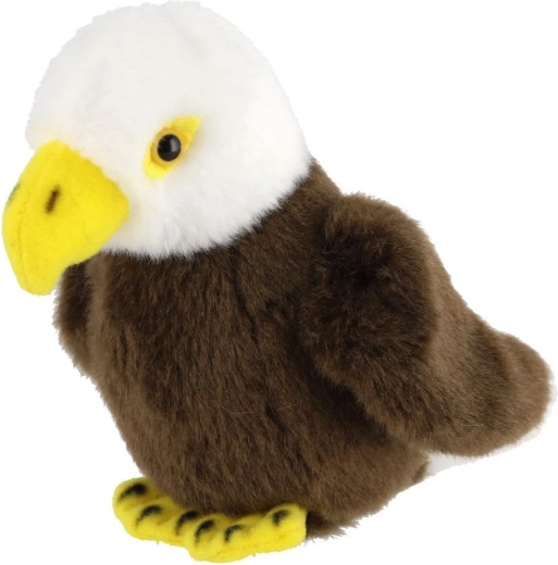 Kompakts izmērs 13 cm