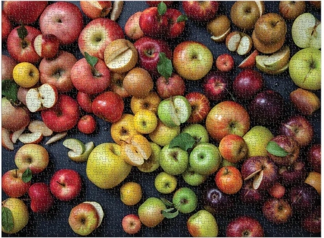 Pilnīgs piedzīvojums
