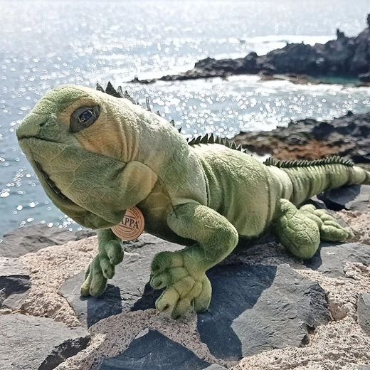 Reālistisks izskats