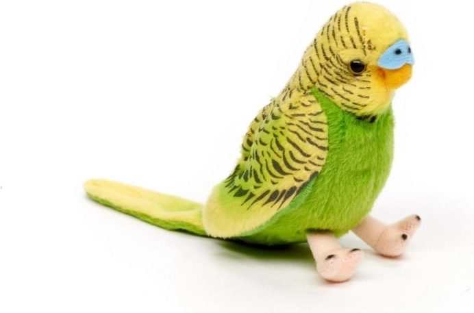 Jautra čivināšana, nospiežot spārnu