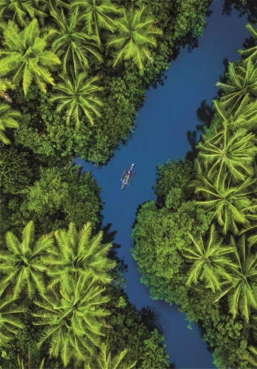 Captivating natural scenery
