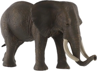 Reālistiskas detaļas un precīzas proporcijas