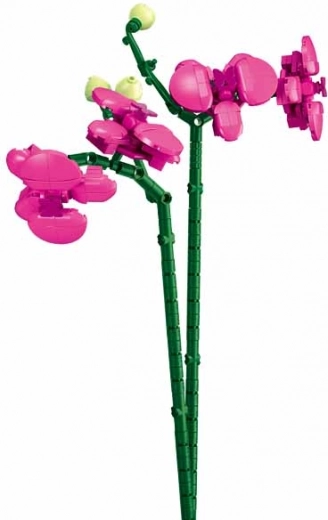 Realistiska orhideja kā dizaina dekorācija