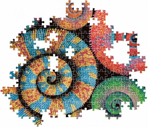 Vivid colors and a bold motif