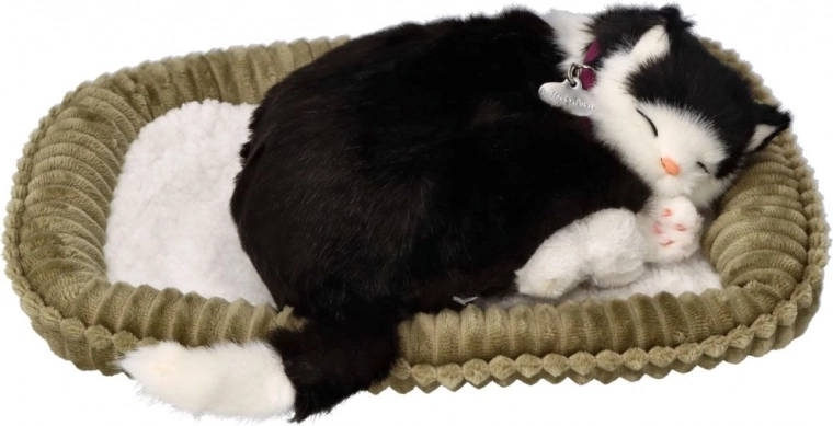 Līdzīgs izskats un detalizēts izpildījums