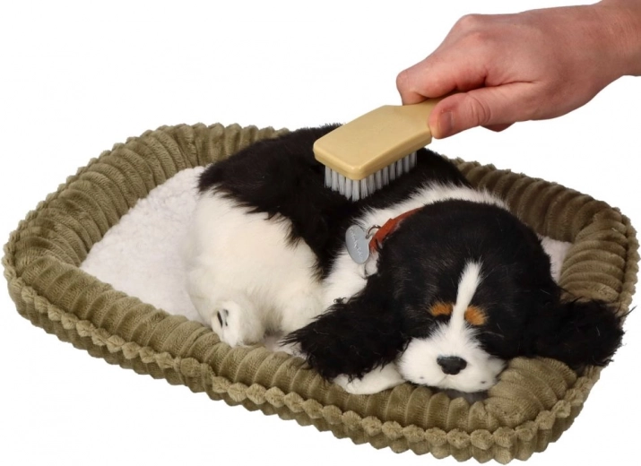 Interaktīva pieredze