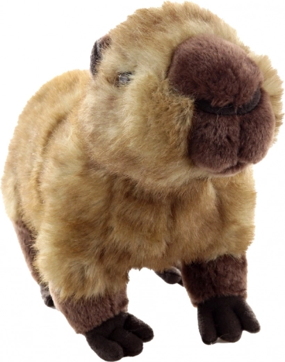 Reālistiskas detaļas