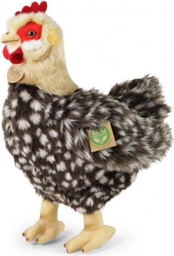 ECO FRIENDLY pildījums no pārstrādātām PET