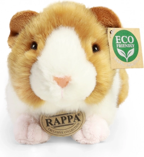 Eco-friendly pildījums