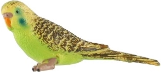 Dabiskas krāsas un detaļas