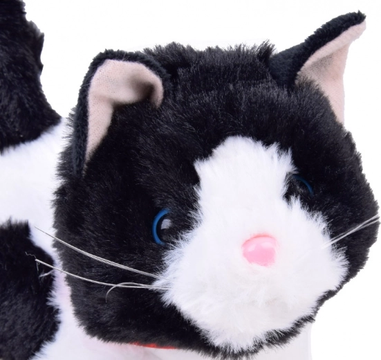 Skan kā īsts kaķēns