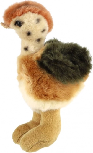 Cute details and realistic coloring