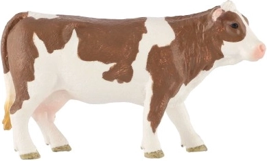 Kolekcionējams priekšmets