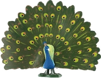 Reālistiskas krāsas un spalvu detaļas