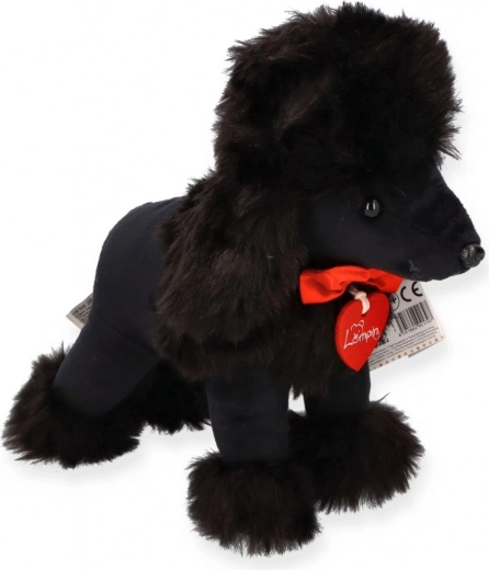 Droša izvēle pašiem mazākajiem