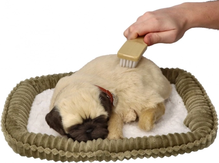 Maigs kažociņš un viegla kopšana