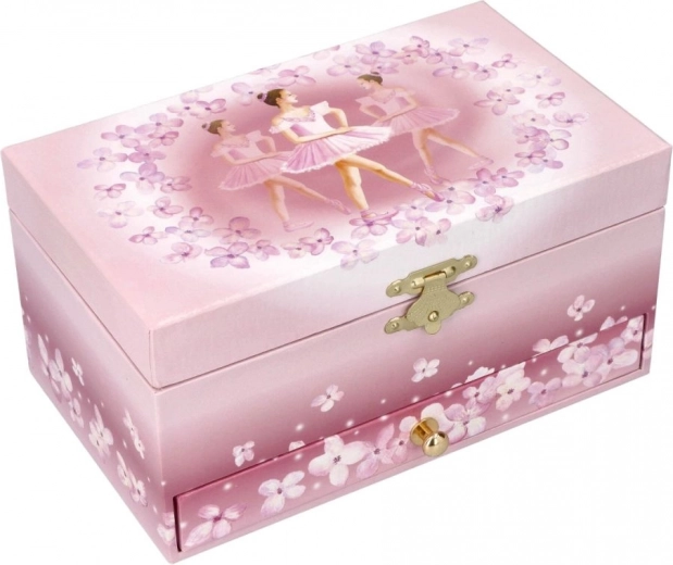 Apburošs baleta motīvs un maigs rozā dizains