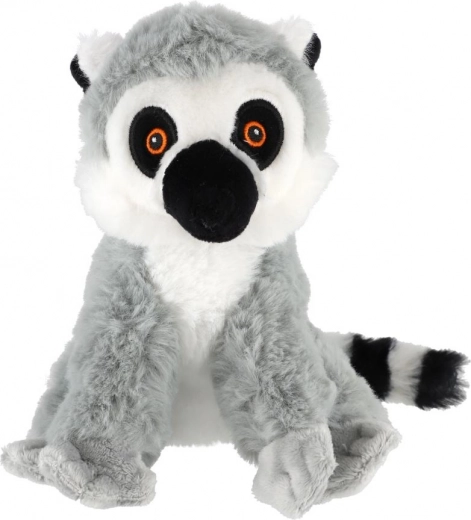 Maigs kažociņš bezgalīgai mīļošanai