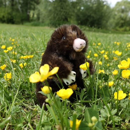 Reālistiskas detaļas un maigs plīšs