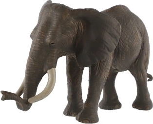 Veicina radošumu un izglītošanos