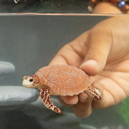 Izturīga bērnu rokām