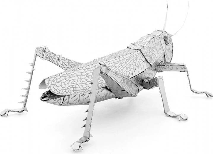 Metāla kolekcionāra gabals izstādīšanai