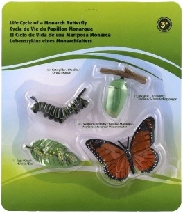 Izglītojoša vērtība