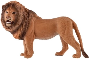 Berberu lauvas reālistiskas detaļas