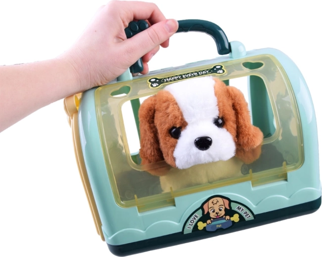 Transportkaste spēlēm un pārnēsāšanai