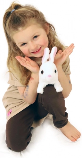 Mājiņa tieši iepakojumā