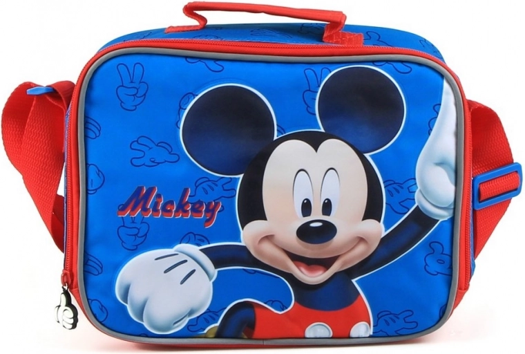 Vibrant MICKEY and MINNIE print
