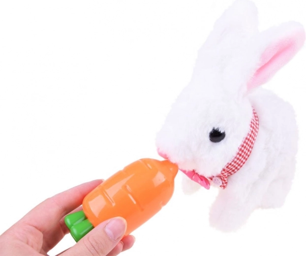 Izklaidējoša barošana un atbildības mācīšanās