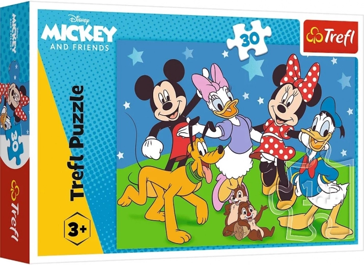 Ideal first puzzle for young children
