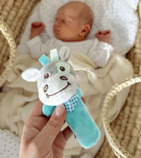 Skaņas un taustes elementi