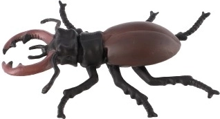 Izglītojošs pielietojums