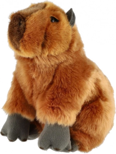 Realistisks izskats, kas iepriecina