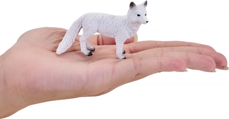 Kompakta rokai un ceļam