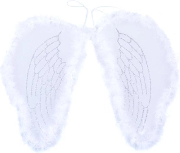 Dizains un konstrukcija