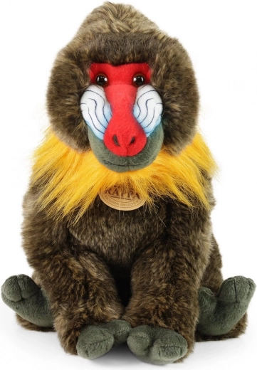 Droša mīļošanās no pirmajām dienām