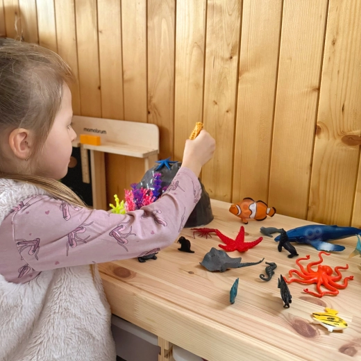 Izturīga konstrukcija ikdienas spēlēšanai