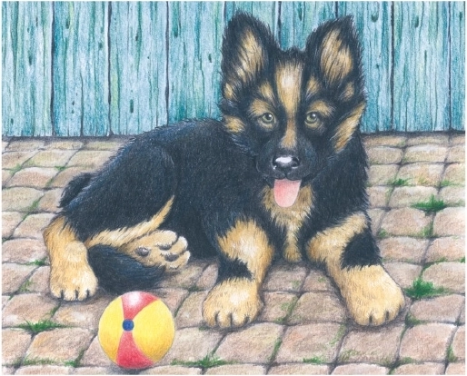 Sunītis jautrai rotaļai