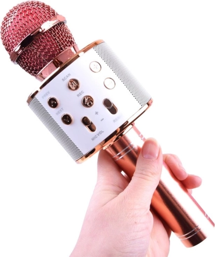 Bluetooth karaoke anywhere