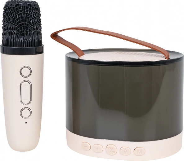 Tīra un spēcīga skaņa ar DSP