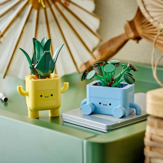 Ideāli izstādīšanai istabā vai uz galda