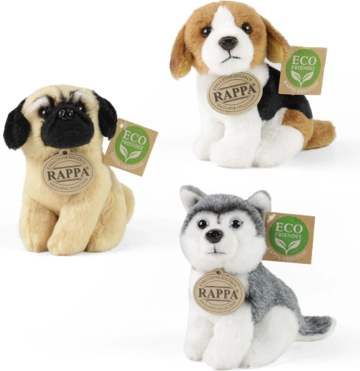 Eco friendly pildījums no pārstrādāta PET