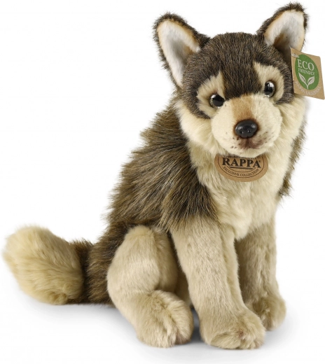 ECO‑FRIENDLY pildījums no PET pudelēm